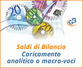 Saldi di Bilancio: caricamento analitico o macro-voci