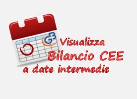 Visualizza anche il Bilancio CEE a una data intermedia