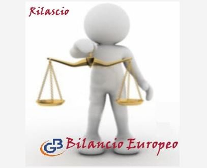 BILANCIO EUROPEO: da oggi disponibile!