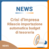 Crisi d’Impresa: rilascio importazione automatica budget di tesoreria