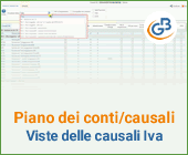 Piano dei conti/causali: viste delle causali Iva